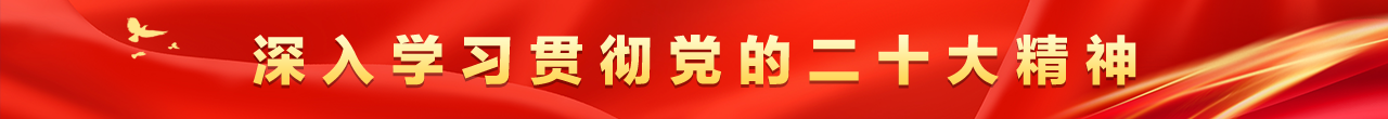 深入学习贯彻党的二十大精神